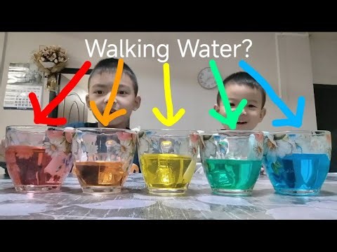 I tested science experiments from the Einstein Box Utimate Science Kit 120+ Experiments!