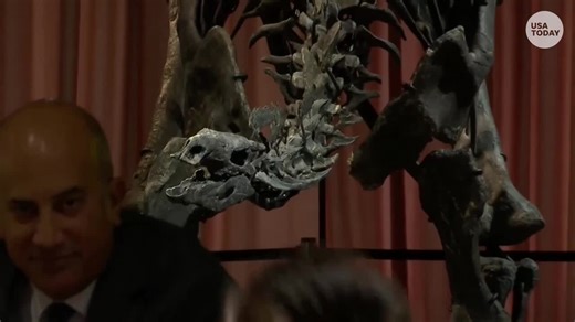Record-breaking stegosaurus fossil worth millions lands at NYC museum