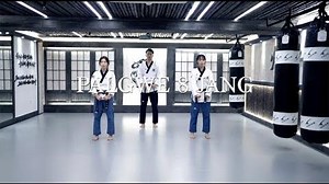 Palgwe 8 jang 팔괘 8 장