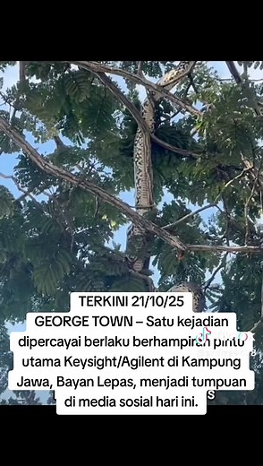 20 OKTOBER 2025] GEORGE TOWN – Satu kejadian dipercayai berlaku berhampiran pintu utama Keysight/Agilent di Kampung Jawa, Bayan Lepas, menjadi tumpuan di media sosial hari ini. Video kejadian itu tular sejak pagi tadi dan mengundang pelbagai reaksi dalam kalangan pengguna media sosial. Setakat ini, tiada pengesahan rasmi diterima berhubung punca atau butiran lanjut kejadian tersebut. Sumber: Penangkini #berita #beritaterkini #penang #news #viral