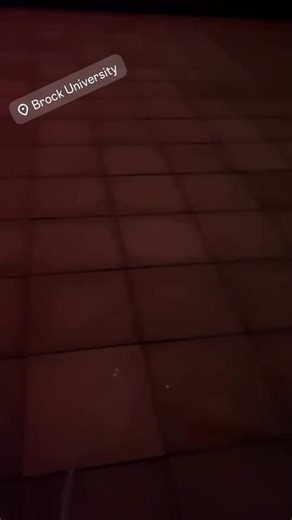 Brock University Incident: Understanding the Impact