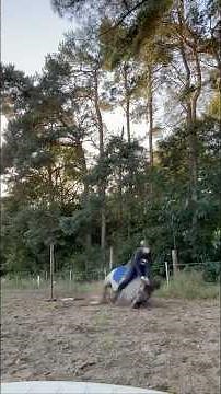 Which horse riding fail looked the most painful to you? 👀