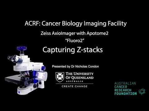 5. Zeiss AxioImager with Apotome Training - 'Fluoro2' - Z-stacks