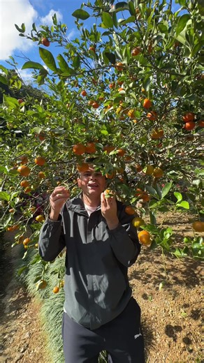 Exploring Okinawan Nepali Culture and Community