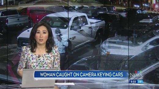 2.2K views · 46 reactions | Here are the top stories from tonight's CTV News at Six. | CTV Vancouver | Facebook