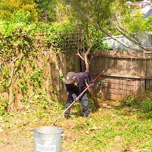 23K views · 1K reactions | This Yard was full of NOXIOUS Weeds | Quick Cuts | Facebook