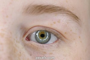 Color Eye Videos, Download The BEST Free 4k Stock Video Footage & Color Eye HD Video Clips