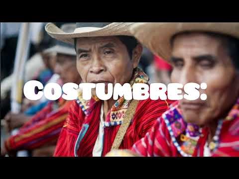 LOS TOLUPANES TODO LO QUE DEBES SABER