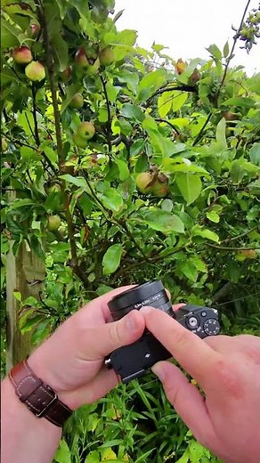 The new Sony has a Close focus system this is what it does