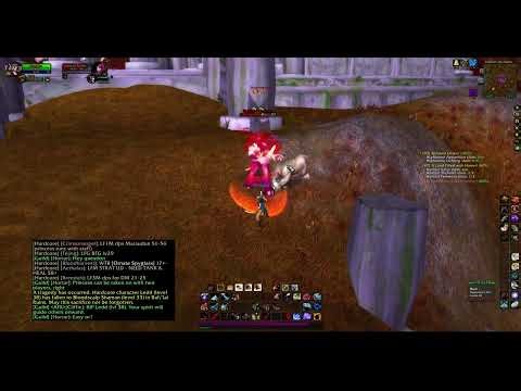 Turtle wow - Melee HC Slow and Steady Hunter - Part 114 - No commentary