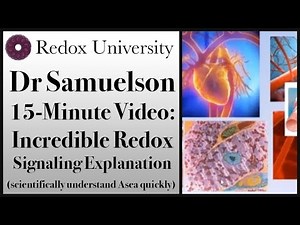 Dr Samuelson: 15-Minute Redox Signaling Explanation - BEST