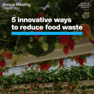 Ending food waste would slash global emissions by 8%. Here are a few ways to do it. The World Economic Forum’s Food Partnership Hubs are working to make food systems more nutritious, resilient and environmentally sustainable. Learn more about them here: https://ow.ly/wyCQ50QnnIs #wef24 | World Economic Forum