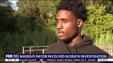 Florida woman found in alligator’s jaws