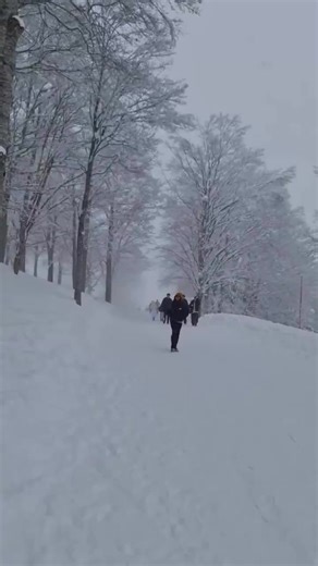 Hakuba Mountain Harbor: Breathtaking Views Await