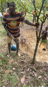 Mother earth is crying 😪 #KingHerodMedia #foryouシ #goviral | Herod Obeng