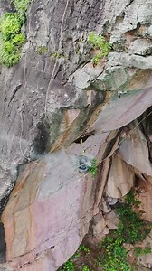 138_Very hight Cliff harvest natural honey #bee #harvest #bees #beehive #beecom #beekeeper #beekeeping #fytシ #natural #beewild | Gianthoney Bees