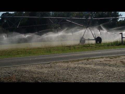 North Carolina hog farmers stinking up the neighborhood