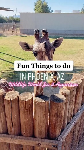Exciting Zoo Day at Wildlife World Zoo & Aquarium in Phoenix, AZ