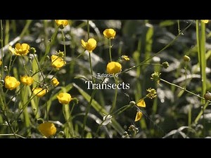 Wild Things - Tutorial 6 - Transects
