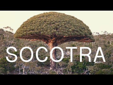 Socotra - Island of Bliss