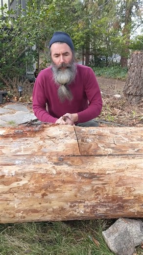 12 reactions | Front yard hewing. Having now lines to follow, sawing down to the lines. A little slow going. Good exercise. Douglas Fir. #mokuchistudio #mokuchiwoodworking #hewing #douglasfir #frontyardhewing #nokogiri #japanesesaw | Mokuchi | Facebook