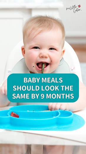 Starting Solids with Baby Led Feeding & the Texture Timeline™ on Instagram: "It doesn’t matter whether your baby starts with purées or finger foods! The key is focusing on developing your baby’s eating skills and gradually advancing them through textures. By around 9 months, aim to have your baby exploring a variety of finger foods, so they’re not limited to just easy textures (like purées OR soft, meltable finger foods). This helps set them up for success as they approach the picky toddler stag