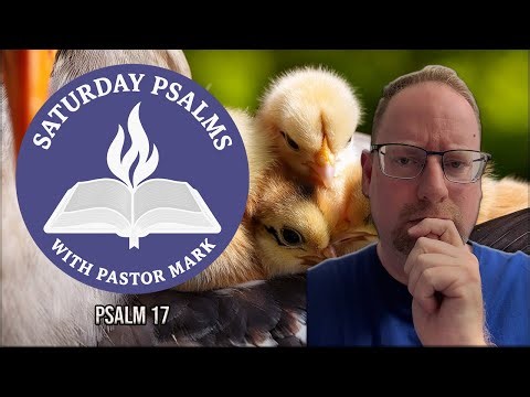 Psalm 17