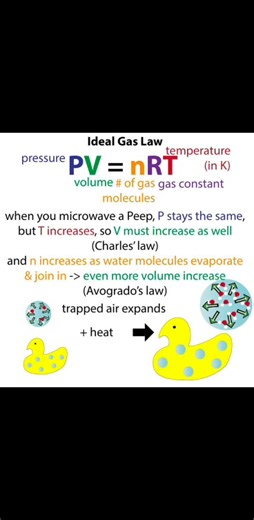 23K views · 172 reactions | Ideal Gas Law #physics #usa #italia #germany #india #Pakistan #belgium #italy #canada #mexico #argentina #brasil #California #Texas #Florida #NewYork #Pennsylvania #Illinois #Ohio #Georgia #NorthCarolina #Michigan #NewJersey #Virginia #Washington #Arizona #Massachusetts #Indiana #Tennessee #Missouri #Maryland #Minnesota | Sciences ST | Facebook
