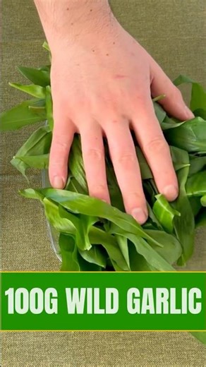 Wild Garlic Mayo Save This 🌱