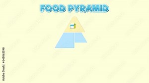 Science education diagram showcasing food pyramid and nutritional information.