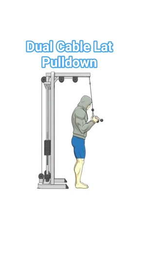 ✨️how is Dual Cable Lat Pulldown✨️✨️#Press#gym #bodybuilding #sports