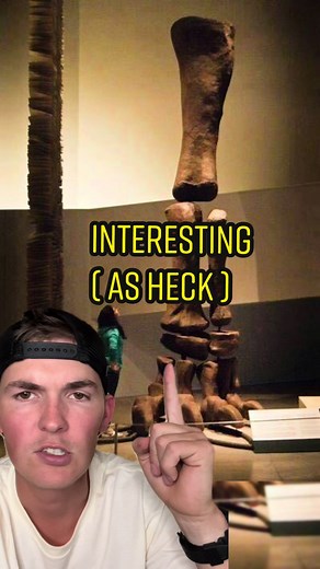 Amazing Argentinosaurus Facts & Penguin Mouth Secrets