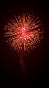 9.1K views · 206 reactions | 6" Gold Titanium Willow w/Red Strobe Pistil Rise/Tail #displayshells #fireworks #6寸金太柳带红闪芯升尾 | 烟花 | Facebook