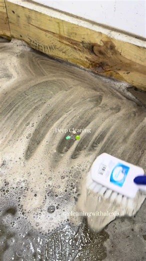 Deep Cleaning Motivation: Join Me for a Satisfying Experience!