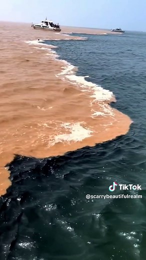 When the Atlantic and Pacific Oceans Meet: A Fascinating Phenomenon