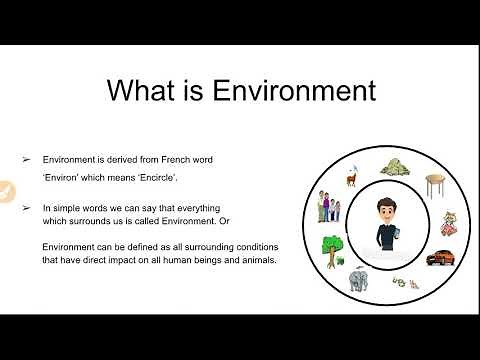 What is Environment And Its Components With MCQ's| Environmental Science| Edusquad