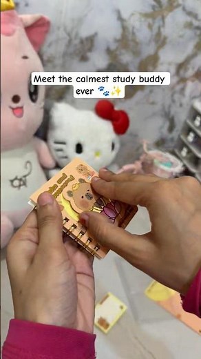 This Capybara mini notebook + sticky notes set is the definition of cute & organized! 🌸