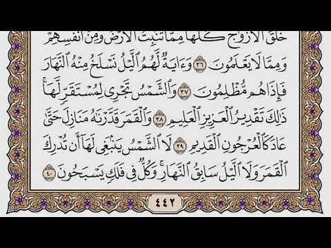 سورة يس مكتوبة / فضيلة الشيخ مشاري العفاسي