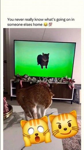 Cat Freezes After Seeing the Viral Spinning Cat on TV 😂🐈 #shorts