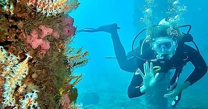 Busselton Jetty and Underwater Sculptures Discover Scuba Dive  - Klook Singapore