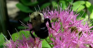 Video by Trey Lawhorn on Pexels