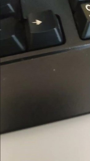 Shark tale DVD lithuanian