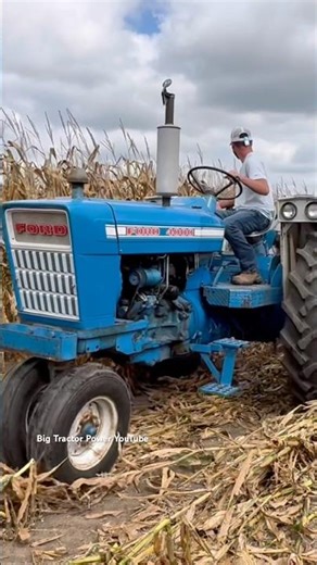 FORD 4000 Tractor Harvesting Corn #bigtractorpower