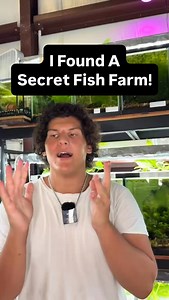 1.3K views · 639 reactions | This hidden fish farm has 105 tanks...
