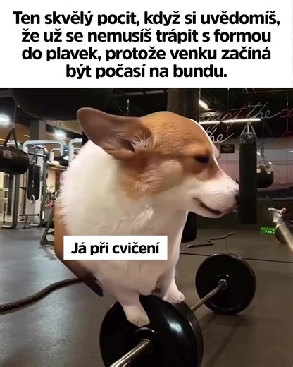 Plavková sezóna je za námi… a začíná období svetrů, dek a výmluv 😅☕ | Ladylab