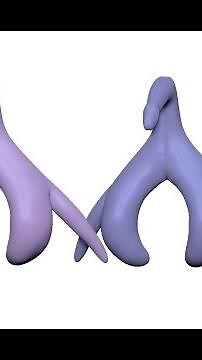 Explaining the clitoris - what is it?
