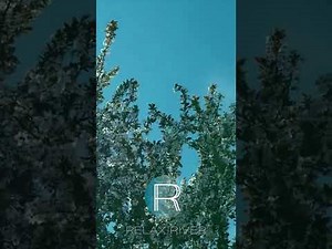 Aromatherapy meditative treatment - Thai therapy #spa #massage #relaxingmusic #bathingroutine