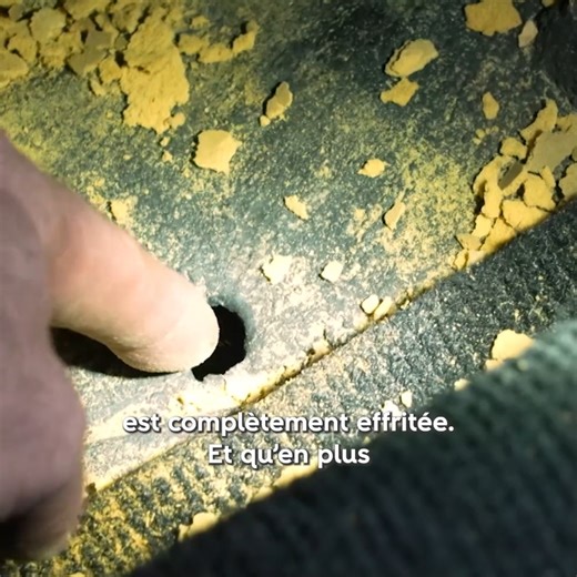 309K views · 2.6K reactions |  Baptiste présente une Fiat 124 sport...