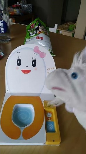 Potty Training in Japan