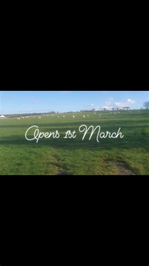 The Car Boot Sale Market on Reels